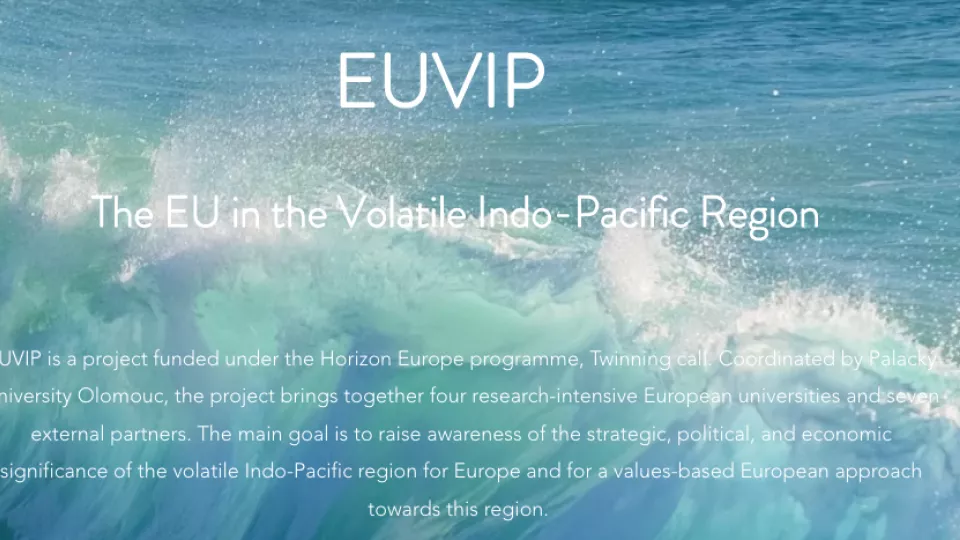 screenshot from the euvip-project.com website. Blue ocean with white text.